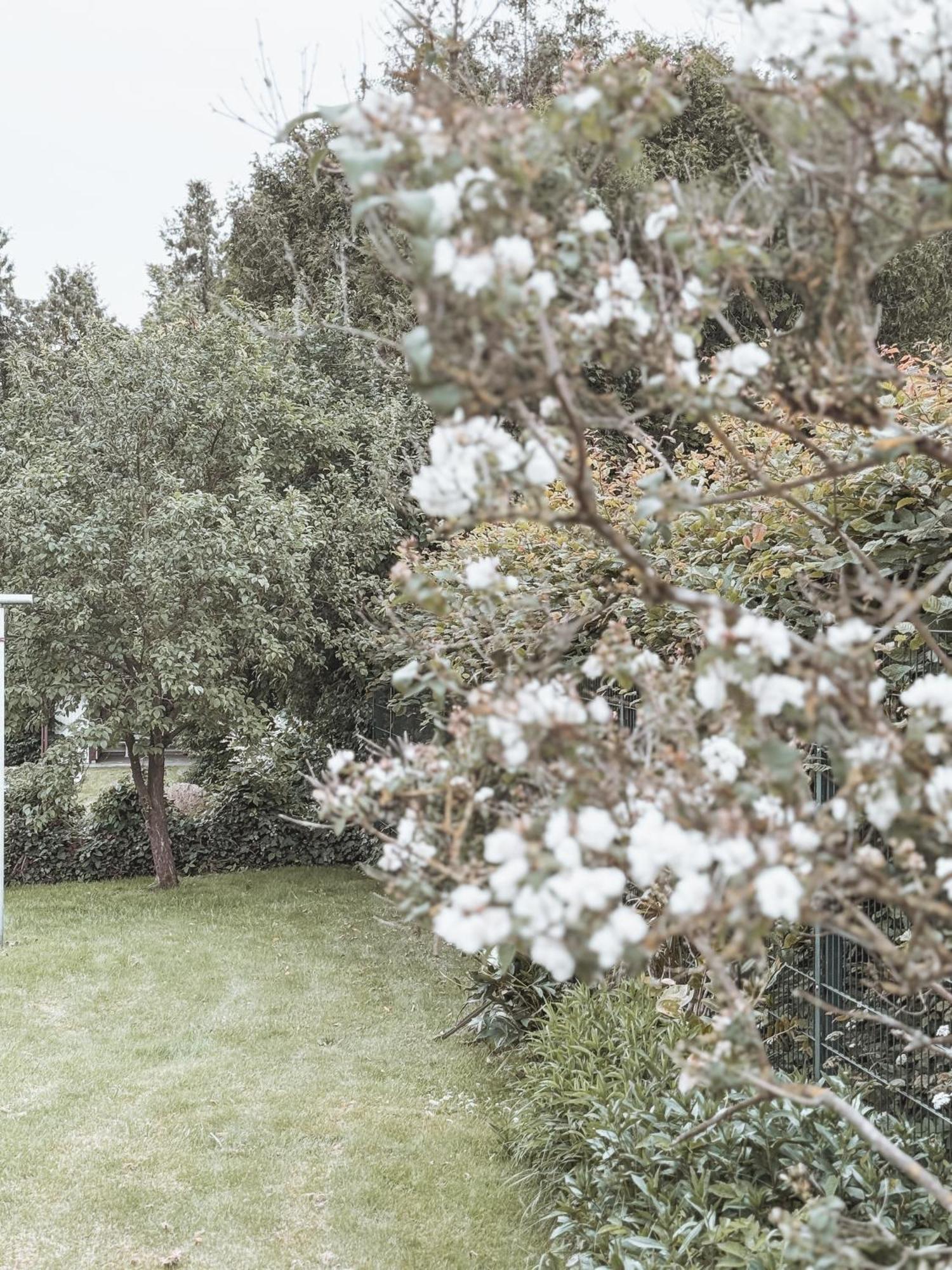 Bohemian Suite - Detmold Buitenkant foto